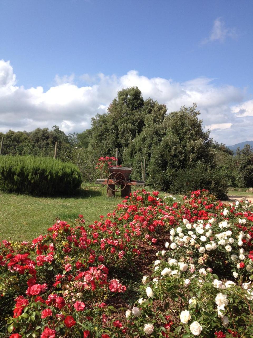 Donzellino Villa มัสซามาริตติมา ภายนอก รูปภาพ